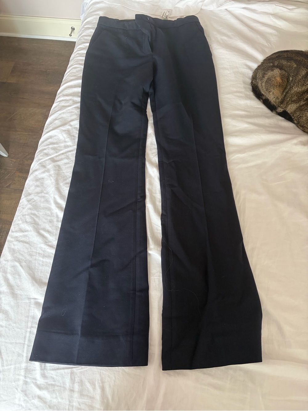 Victoria Victoria Beckham Pants